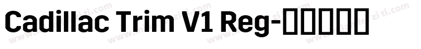 Cadillac Trim V1 Reg字体转换